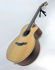 Takp3fcn Takamine Acoustic Guitar Contemporary Nylon String Satin Solid 799493250725