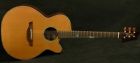Taktsf40c Takamine Tsf40c Acoustic Guitar 799493251067