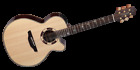 Taktsf48c Takamine Acoustic Guitar Nex Santa Fe Series With 799493251074