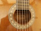 Tatg301 Taka Tatg Vintage Classical Guitar