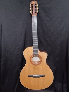 Taylor Ns-3 Nylon String Guitar