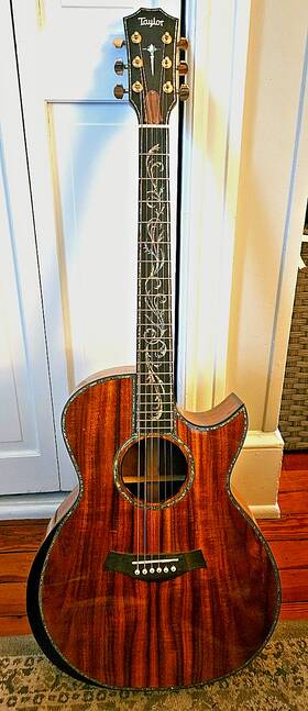 Ps14 Taylor Acoustic Guitar With Softcase Minor Neck And Fretboard Repair See Pictures
