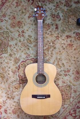 Tf-3-na Telluride Acoustic Guitar Model