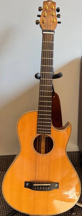 15-223 Terry Pack Plrs Parlour Solid Rosewood And Sitka Cutaway Acoustic Guitar