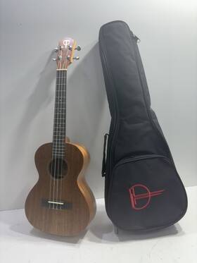 P11023635 Teton Guitars Tt003