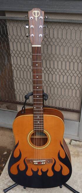 Teton Sts135nt Mahogany Dreanought Acoustic Guitar Model With Freedom Hard Case