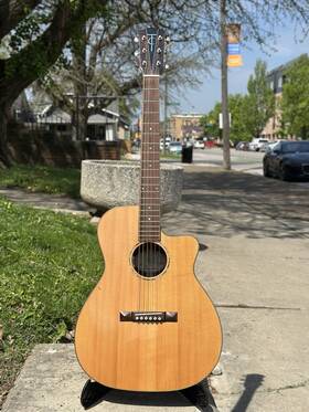 Trinity College Tg222 Tg-222 Acoustic Electric With Pure Mini And L.r. Baggs