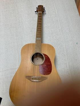 Trinity River Ta-241 Vintage 6-string Acoustic Guitar Spruce Body Model Summit-d4