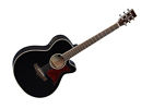 Tw4sfcebk Tanglewood Winterleaf Acoustic Guitar 810944018968