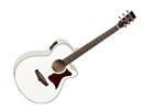 Tw4sfcewh Tanglewood Winterleaf Acoustic Guitar White Gloss Gently Used 810944018975