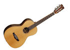 Twjp Tanglewood Java Acoustic Guitar 810944016131
