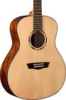 Usm-wlo10s Washburn Woodline 10 Series 801128034140