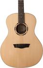 Usm-wlo20s Washburn Woodbine 20 Series 801128034164