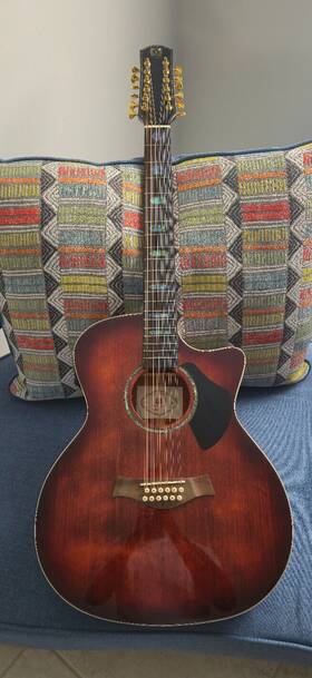 Veg120pr0 Vangoa 12 String Guitar Solid Wood Twelve Acoustic