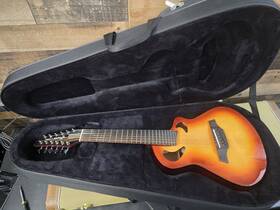 Ag12tb Veillette Avante Series Gryphon 12 String Acoustic Guitar - With Case