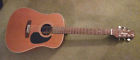 Vs-25s Vantage Acoustic Guitar Double