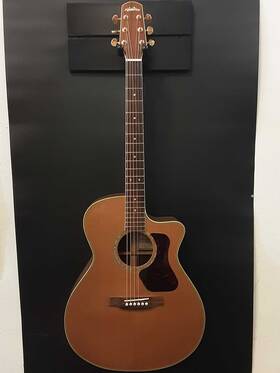 Eb0425orxsa Walden 055935 Natura G630ce Acoustic/ Electric Guitar