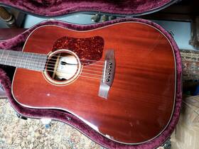 Cd4041 Walden Acoustic Guitar Model W Fishman Pickups And Hdsc