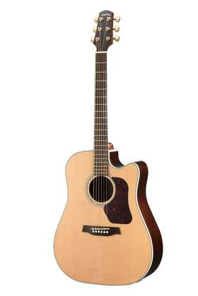 D600ce Walden D600ce/w With Gig Bag Natura Solid Sitka Top/rosewood Dreadought Acoustic
