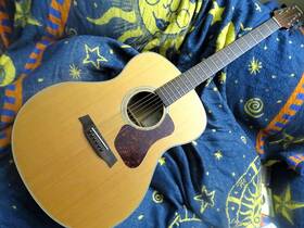 G830 Walden 3rd Relist Solid Rosewood Acoustic Guitar With Fishman- Mint