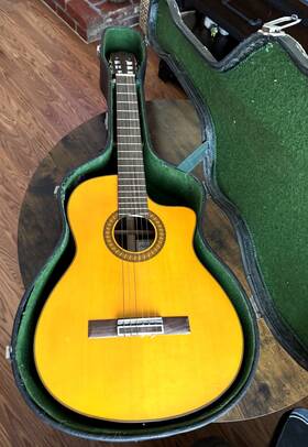 N610ce Walden Acustic Guitar