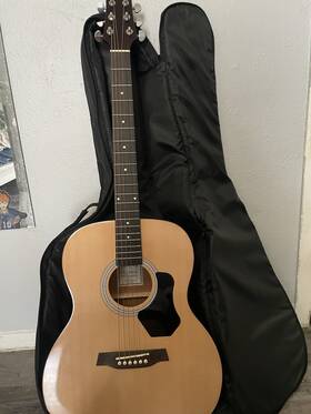 O350 Walden Guitar Model O350/w