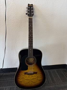 D-10q Washburn D-10q/vs Dreadnought Body Acoustic Guitar Used