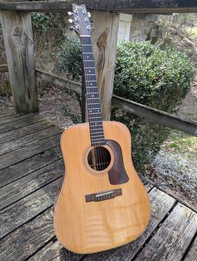 D-62sw Washburn Prairie Song Dreadnought Acoustic Solid Wood Guitar With Hard Case