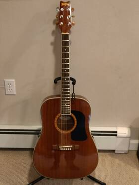 D100dlmk Washburn D100 Dlmk Acoustic Guitar