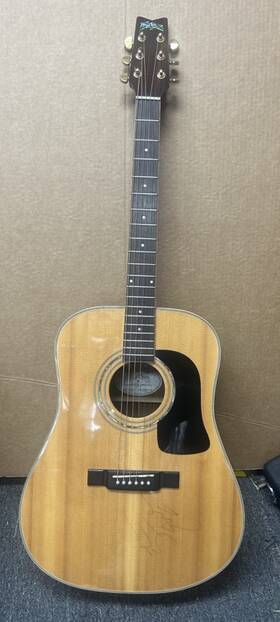 D10sdlk Washburn Acoustic Guitar