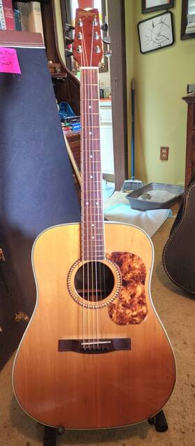 D10sqb Washburn Acoustic Guitar - Quilted Bubinga