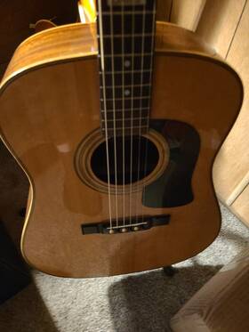 D24s1 Washburn The 1991 George International Limited Edition