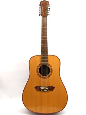 D42s12 Washburn 12-string Acoustic Guitar - Brown