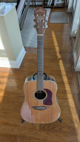 Washburn D44sw Golden Harvest Acoustic Guitar