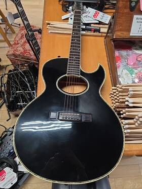 Ea40 Washburn Woodstock Custom