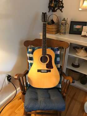 Psc011632 Washburn Guitars D-24s-12