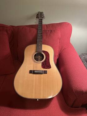 D-29s Washburn Guitars Rare Acoustic-mint Condition-original Case-pro Grade Guitar-nice