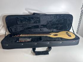 P17022641 Washburn Guitars R010sk-a