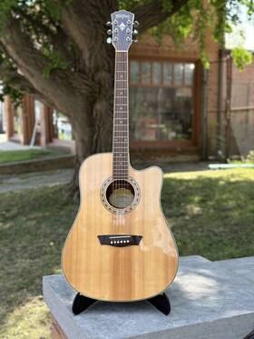 Sc15073137 Washburn Wd20sce With Fishman 301t