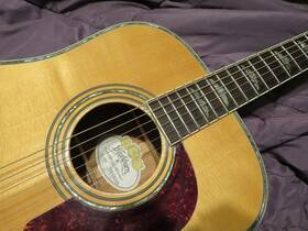 Wd-52sw Washburn Flint Hill All Solid Acoustic Guitar With Pickup 2014