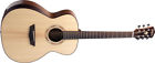 Wcg10sens Washburn Comfort Series Acoustic 801128305110