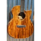 Wcg55ce Washburn Guitars Comfort Series 801128025230