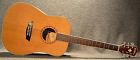 Wd11s Washburn Acoustic Guitar W-case