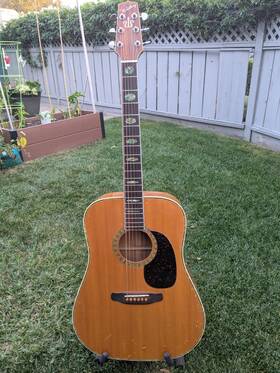 W290d Westbury Japan Dreadnought