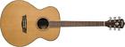Wg26s Washburn Grand Auditorium Acoustic Guitar 801128720340