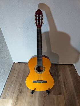 Wizz By Aileen Acoolh-39-gy-39 Winzz Acoustic Guitar New / Excellent Condition Soft Case