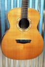 Wlg16s Washburn Woodline Series Solid 801128031507