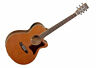 X45nse Tanglewood Super Folk Acoustic Guitar Vintage Amber Gently 810944019866