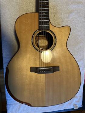 Rts-750sce Xaviere Acoustic Guitar Zebrawood