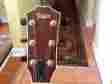 Xxv-ga Taylor Guitar 25th Anniversary Limited Edition 6 String Dreadnought Right Hand